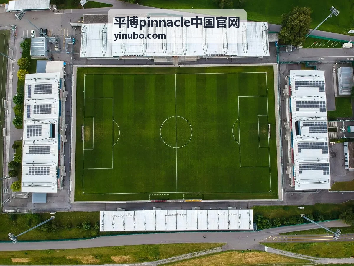 平博pinnacle中国官网 巅峰赛事精选