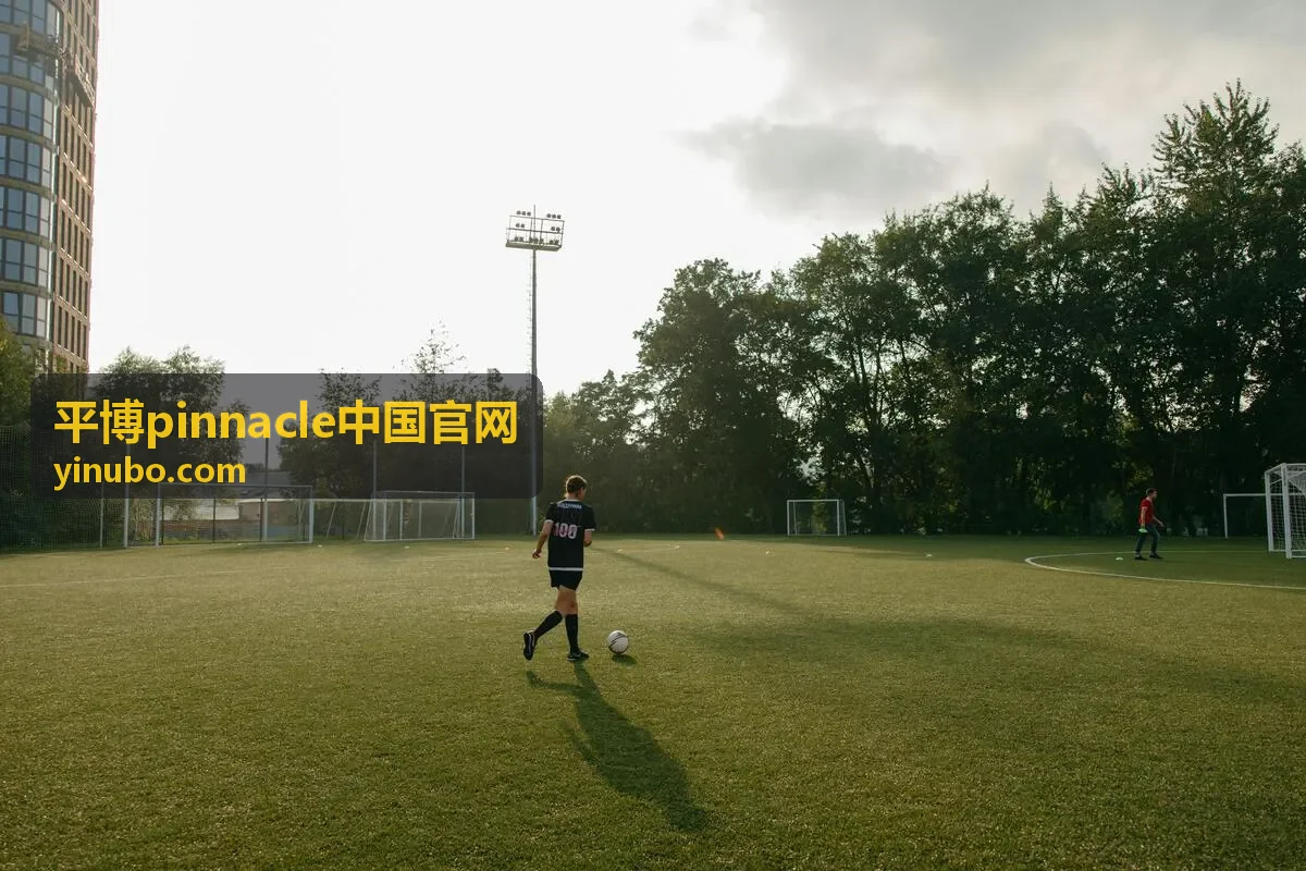 平博pinnacle中国官网 赛事精华封面